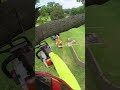 Dropping A Massive Tree Branch With A Chainsaw mp3