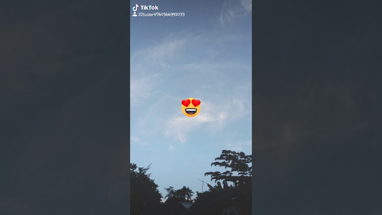 Tiktok..kinacan we kiss forever YouTube