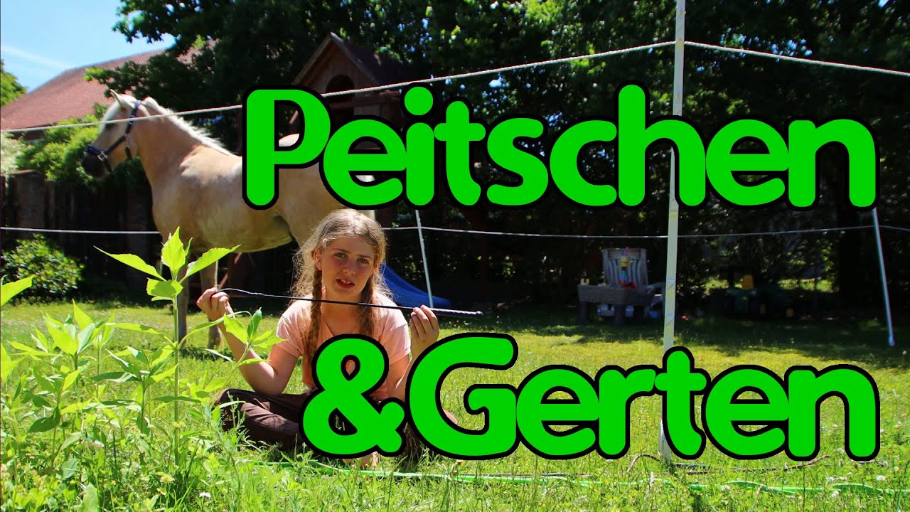 Meine Gerten & Peitschen - Pferdesachen zeigen