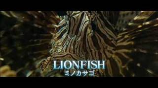 映画「オーシャンズ」面白映像　English講座　lesson 2