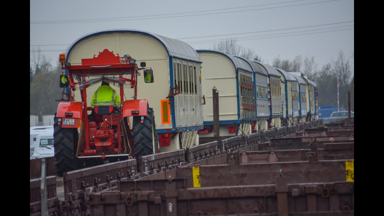 Roncallis Logistikteam ( Neue Version)