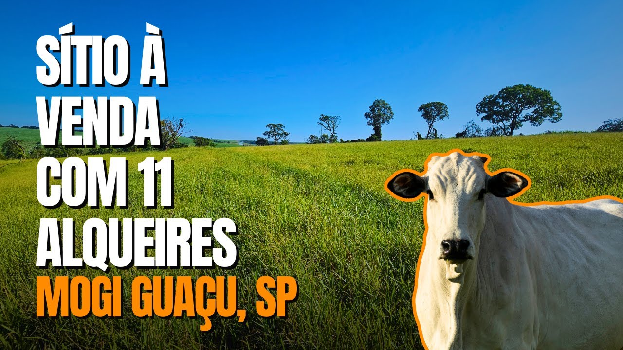 NÃO COMPRE ANTES de VER ISSO! 👀💎 Sítio ESPETACULAR em Mogi Guaçu – 11 Alqueires!