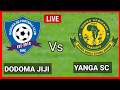 LIVE UCHAMBUZI DODOMA JIJI VS YANGA SC LIGI KUU I OKELLO AMSHIDA CHAMA KWENYE HILI 