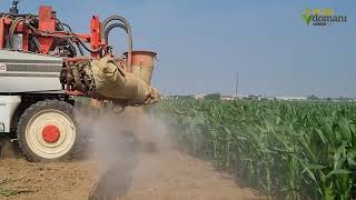 Blue N Soluzione Corteva Per Ottenere Più Resa Dal Mais