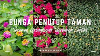 ALTERNATIF RUMPUT! Inilah BUNGA PENUTUP TANAH TAMAN yang CANTIK Bikin Taman INDAH dg GROUNDCOVERS