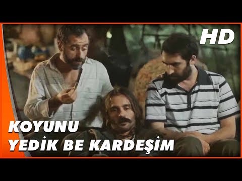 Yav He He | Çoban Kral'ın Dumanlı Mekanı | Türk Komedi Filmi