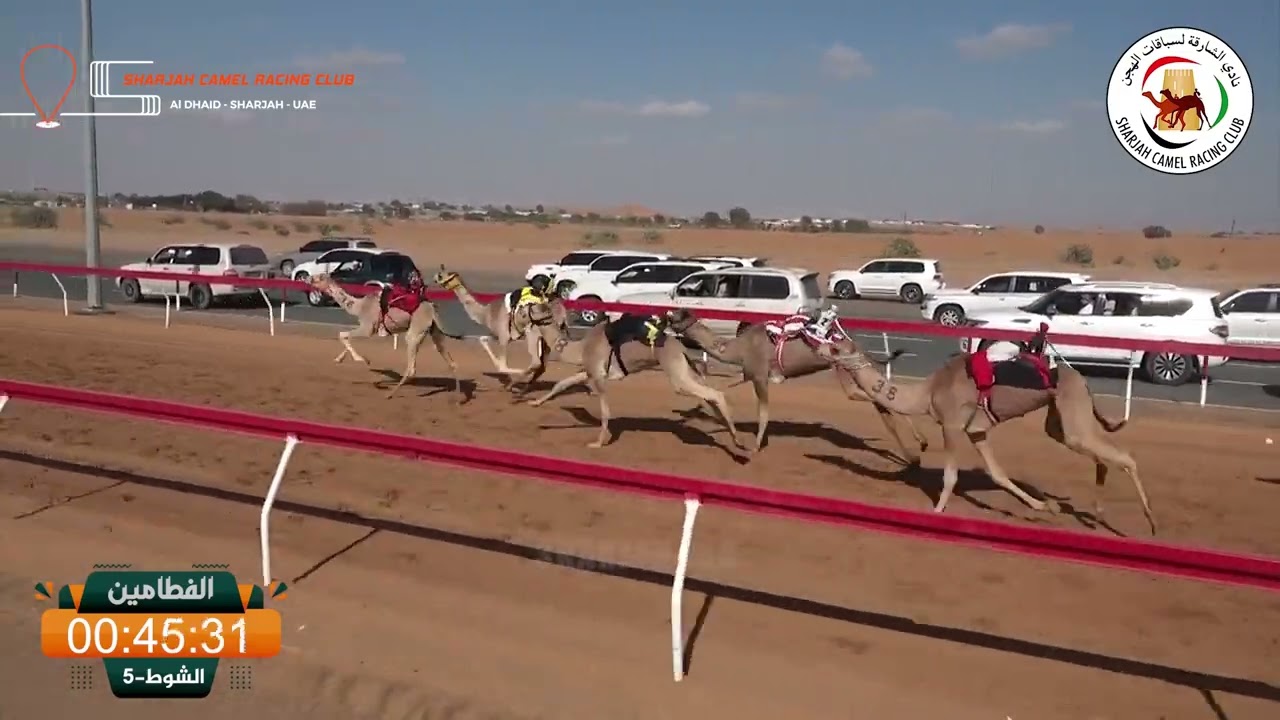 ميــدان الذيد - ش 5 الفطامين 17/01/2026 الشاهينية لـ محمد عوض مهيمير اجتبي.  التوقيت - 