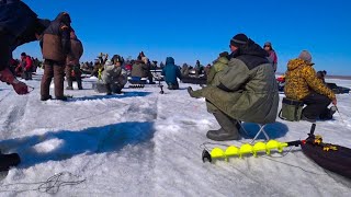 ВОДЫ 10 см, а СУДАКА ПОЛНО! ВЕСЕННИЙ ХАПОК СУДАКА на ВОДОХРАНИЛИЩЕ, ЗАКРЫЛ СЕЗОН