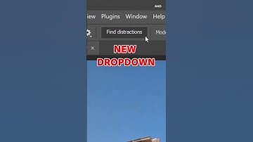 Automatically Remove Distractions From a Photo with the Remove Tool in Photoshop