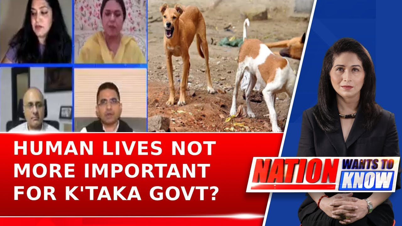 Bengaluru Civic Body To Provide Foods To Stray Dogs; Human Lives Not More Important For K'taka Govt?