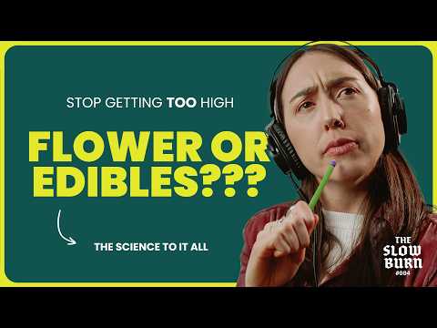 Quality Matters: Not All CBD Gummies Are Created Equal