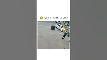 الكلب تبول على الإطار الخاطئ 