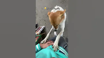 ونبي لتجيب جنيه ضحك الشعب الصيني ماله حل 