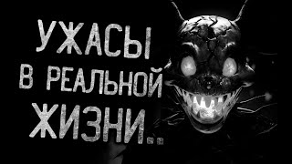 видео: УЖАСЫ РЕАЛЬНОЙ ЖИЗНИ - Страшные истории на ночь | Мистика | Ужасы картинка: УЖАСЫ РЕАЛЬНОЙ ЖИЗНИ - Страшные истории на ночь | Мистика | Ужасы