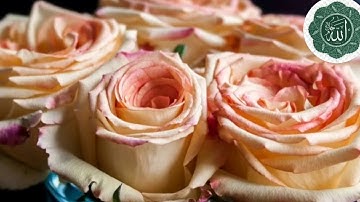 #القرآن الكريم # صوت شجي لمن يريد الراحة النفسية 🧕 استمع واستمتع