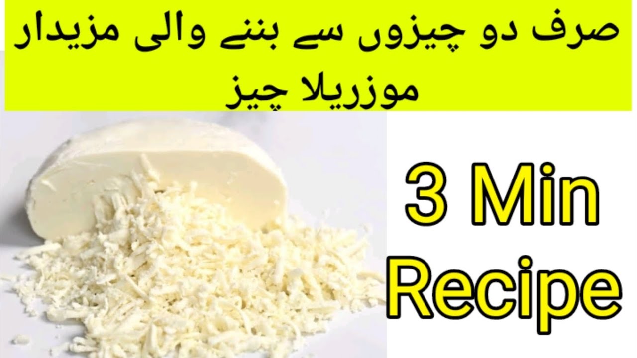 How to Make Mozzarella Cheese At Home Homemade cheese Mozzrella