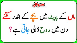 Islamic Paheliyan | Islamic Quiz | Islamic Gk | Kbj | Kaun Banega Jannati Episode 63