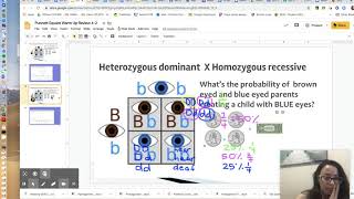 Warm Up Questions Review and Punnett Square Practice Explained 4/2