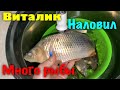 Перебираю все вещи / прогулка с Оскаром / Виталик наловил рыбы/ приготовила вкусный ужин с рыбкой 🐟