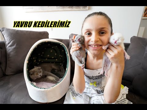 Video: Pupanın Çivilerini Biraz Çok Kısa Döndürürseniz Ne Yapmalı?