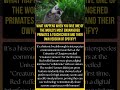 Lemurs Are Learning to Use Apps! | Kognis