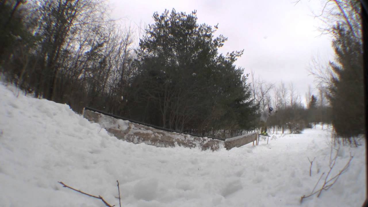 Day In That Backyard