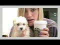 Life with a puppy | iJustine