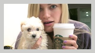 Life with a puppy | iJustine