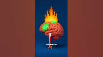 Why Scratching Makes Itching Worse 🤔