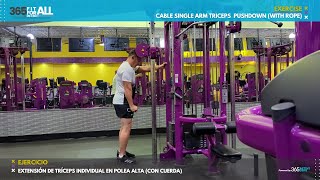 Cable Single Arm Triceps Pushdown (with Rope) - Exercise Library 4K