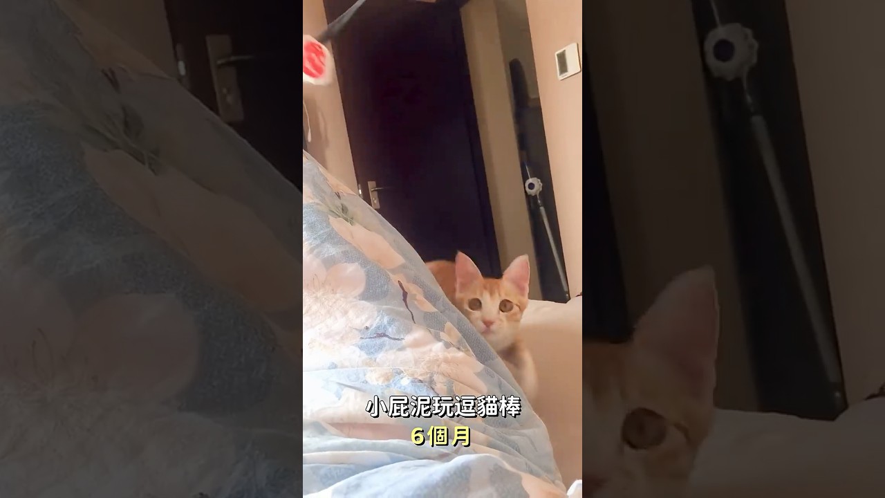 泥大叔有玩但不多。|媽寶貓日常 縮圖