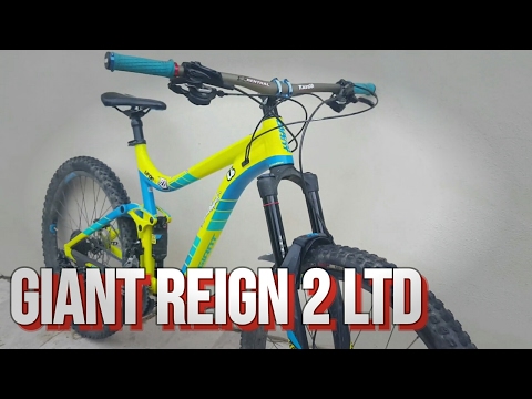 reign mtb