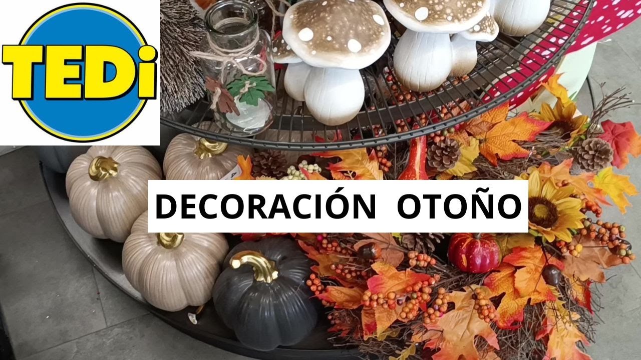 TEDI Novedades DECORACION  Otoño/ Hallowen