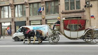 Кудрово и Санкт-Петербург. Дорога до центра города общественным транспортом