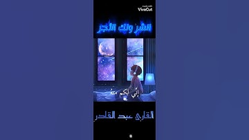 تلاوة هادئة{ففروا إلى الله إني لكم منه نذير مبين} #تلاوات #قرآن