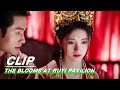 Clip: Ju Jingyi & Zhang Zhehan Get Married | The Blooms At RUYI Pavilion EP40 | 如意芳霏 | iQIYI
