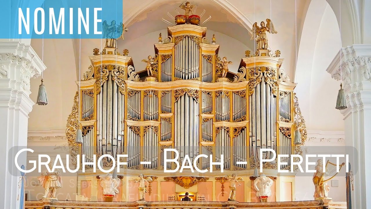 J.S. Bach -Toccata \u0026 Fugue in D-minor BWV 565 - Stephanuskerk Hasselt