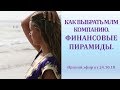 Прямой Эфир. Выбор МЛМ компании. Что такое финансовая пирамида.