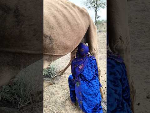 فتاة شقية تستمتع بشرب الحليب تحت السرير