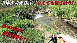 新記録！！小物から大物まで色々釣って楽しむ♪