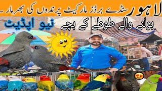 Lahore Shalimar Sunday birds market mai aj Bolny waly tooty🦜😱| Market mai bht c new variety#ranapets