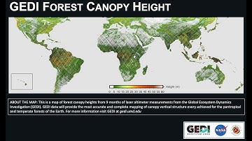 Getting Started with NASA Global Ecosystems Dynamics Investigation (GEDI) Lidar Data