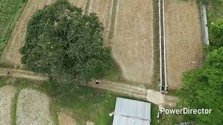 Download Lagu Ijay Baresbes MP3