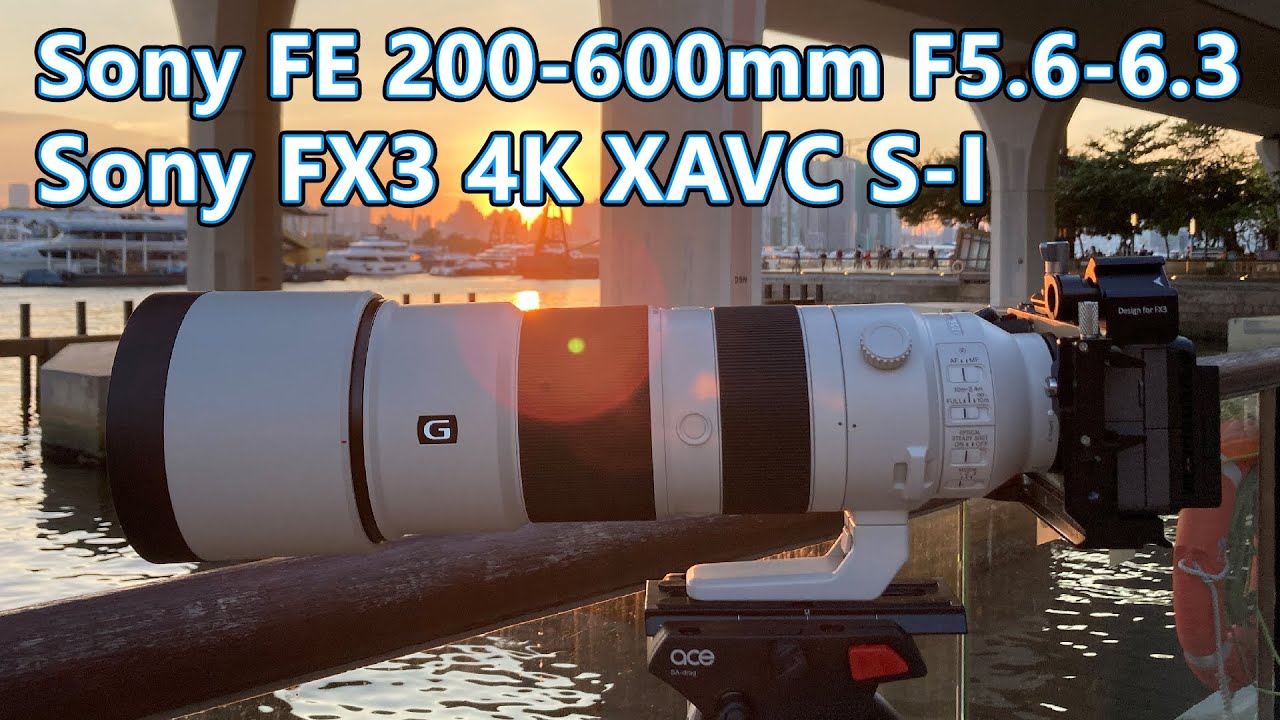 Sony FE 200-600mm F5.6-6.3 | Sony FX3 4K XAVC S-I - YouTube