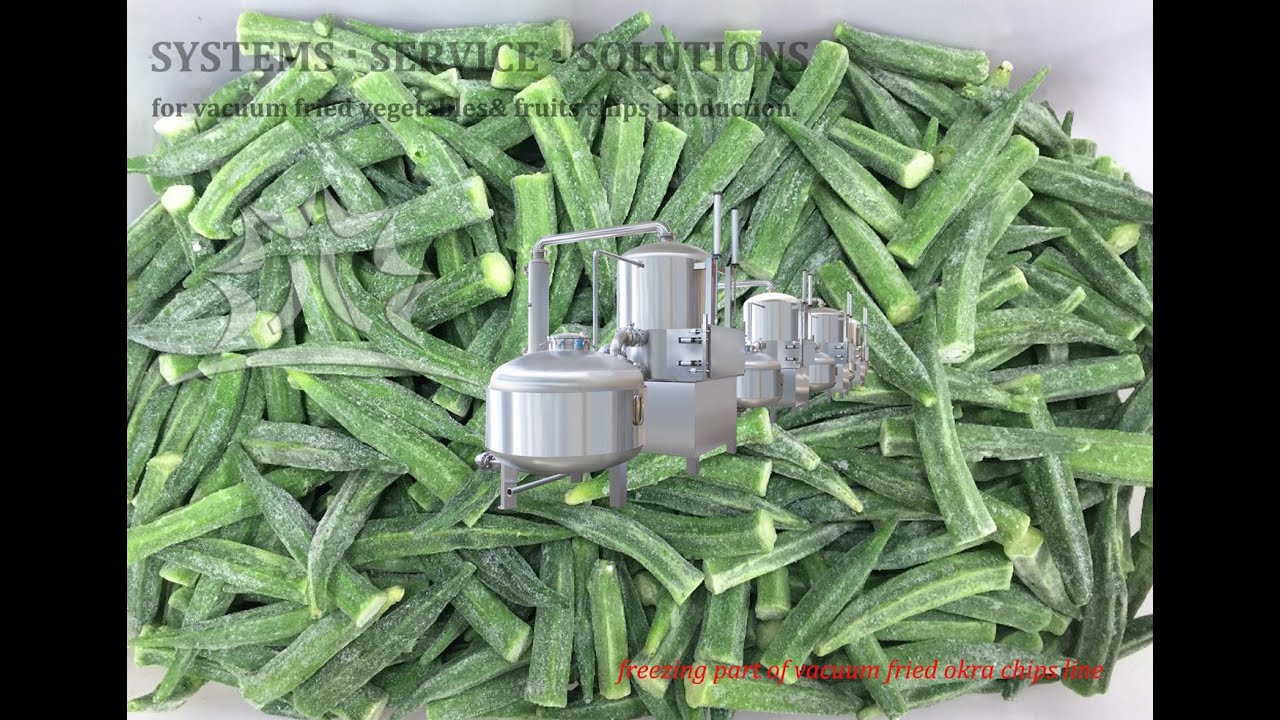 pineapple chips dehydrator vacuum fryer