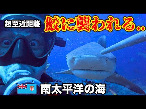 【恐怖】100匹くらいの鮫に囲まれて襲われそうになるくらいヤバかった