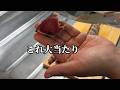 冷凍の鰹のたたきが想像以上でした
