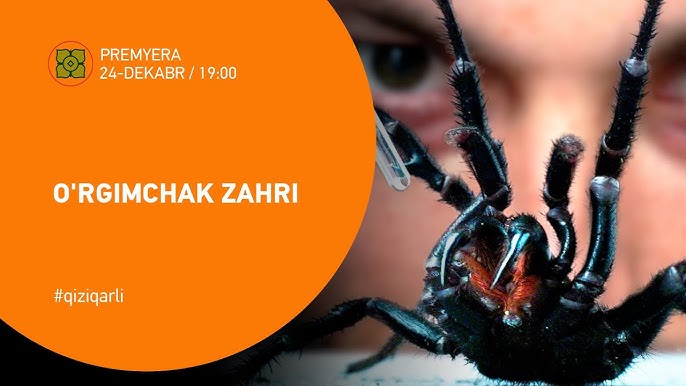 Oyoqlari yoyilgan qizlar jinsiy aloqa