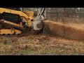 Forestry Mulcher Clearing Land ~ PHASE 2