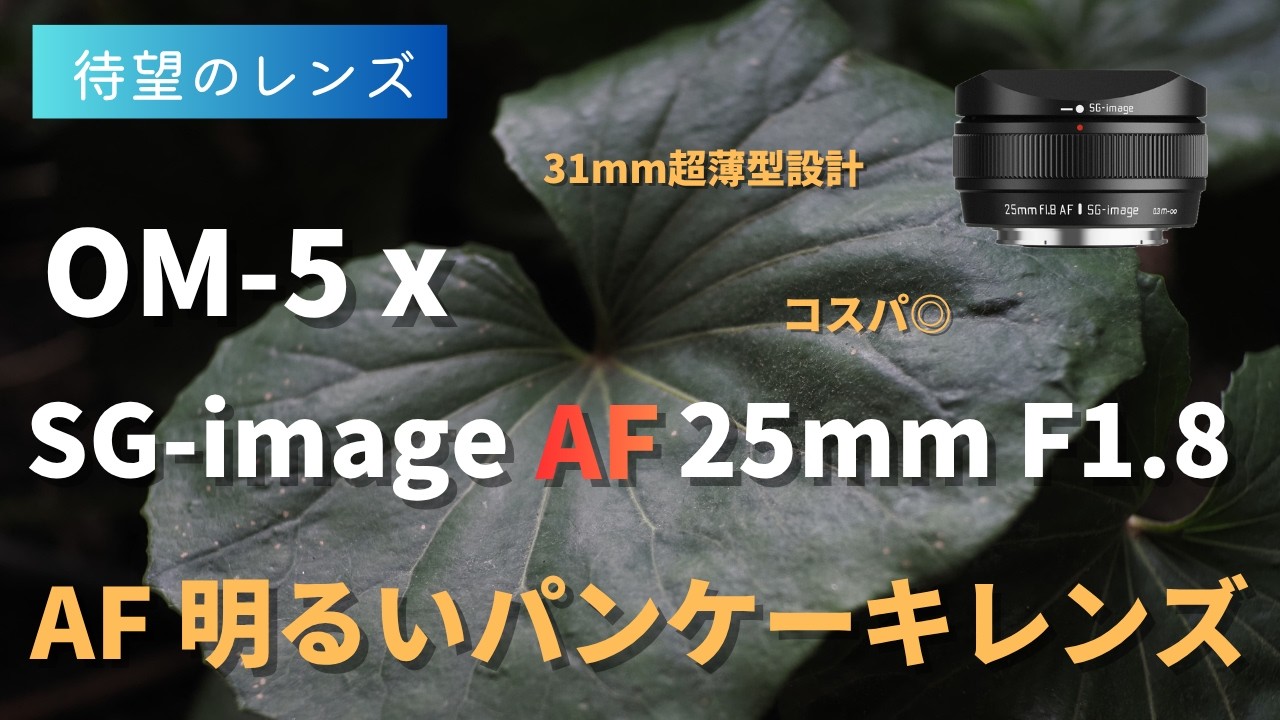 インスタ映え！写真が上達！単焦点レンズ！サードパーティレンズ 25mm